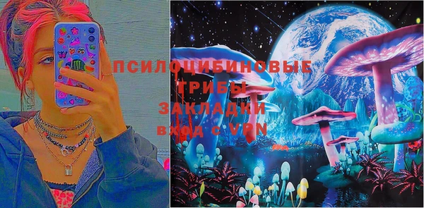 мет Дмитров